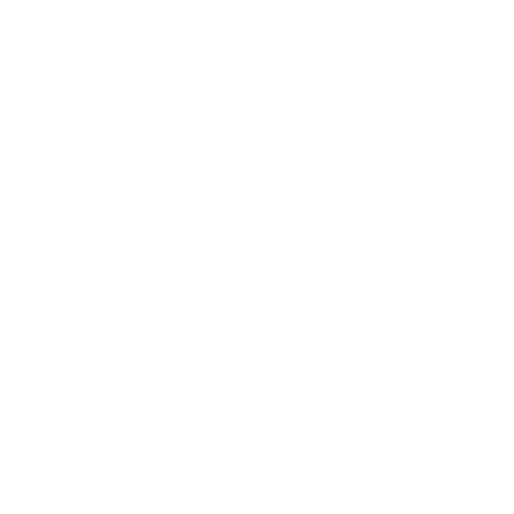 Мастер единоборств