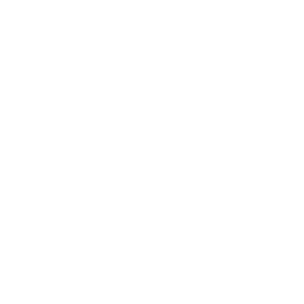 Получилось!