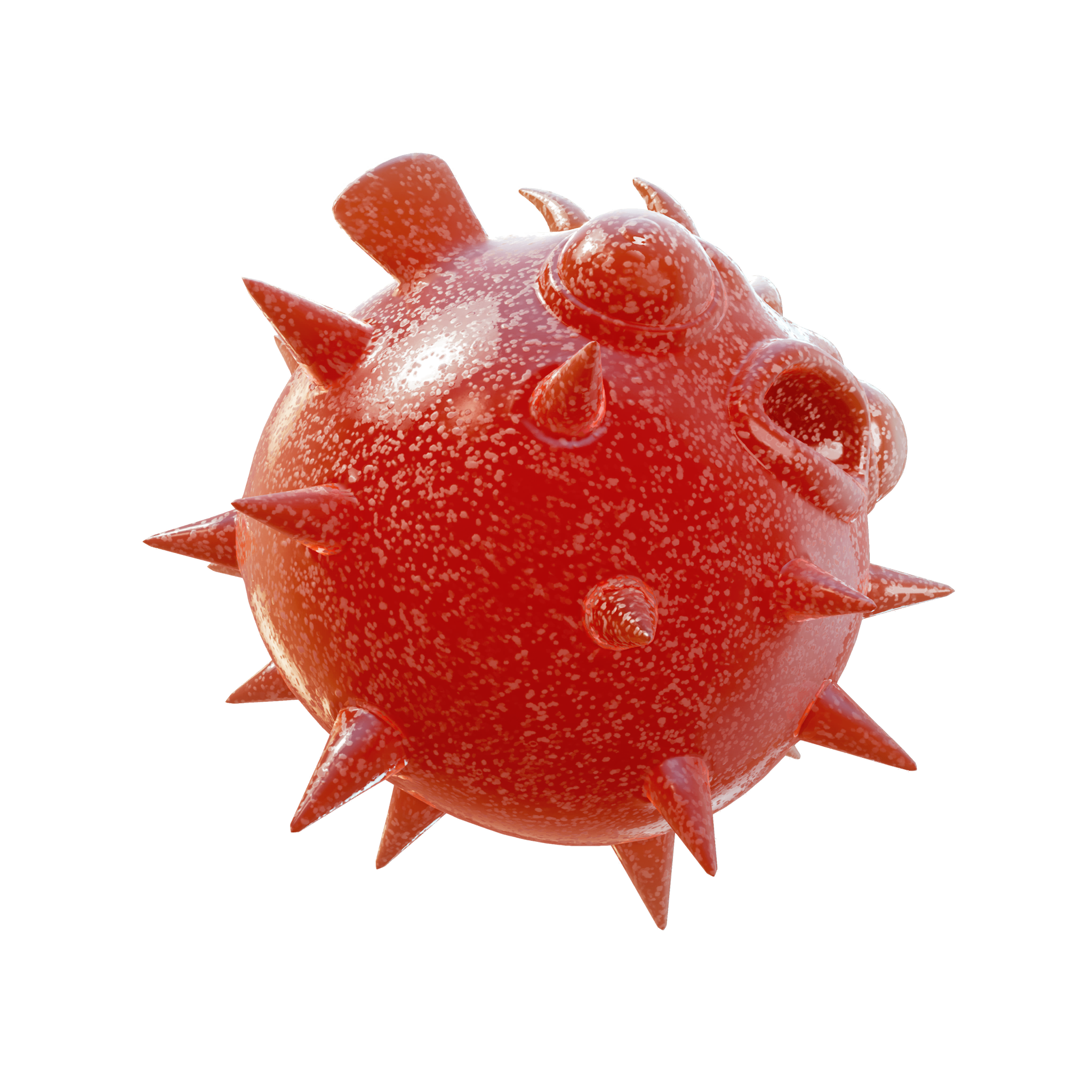 Желейный иглобрюх