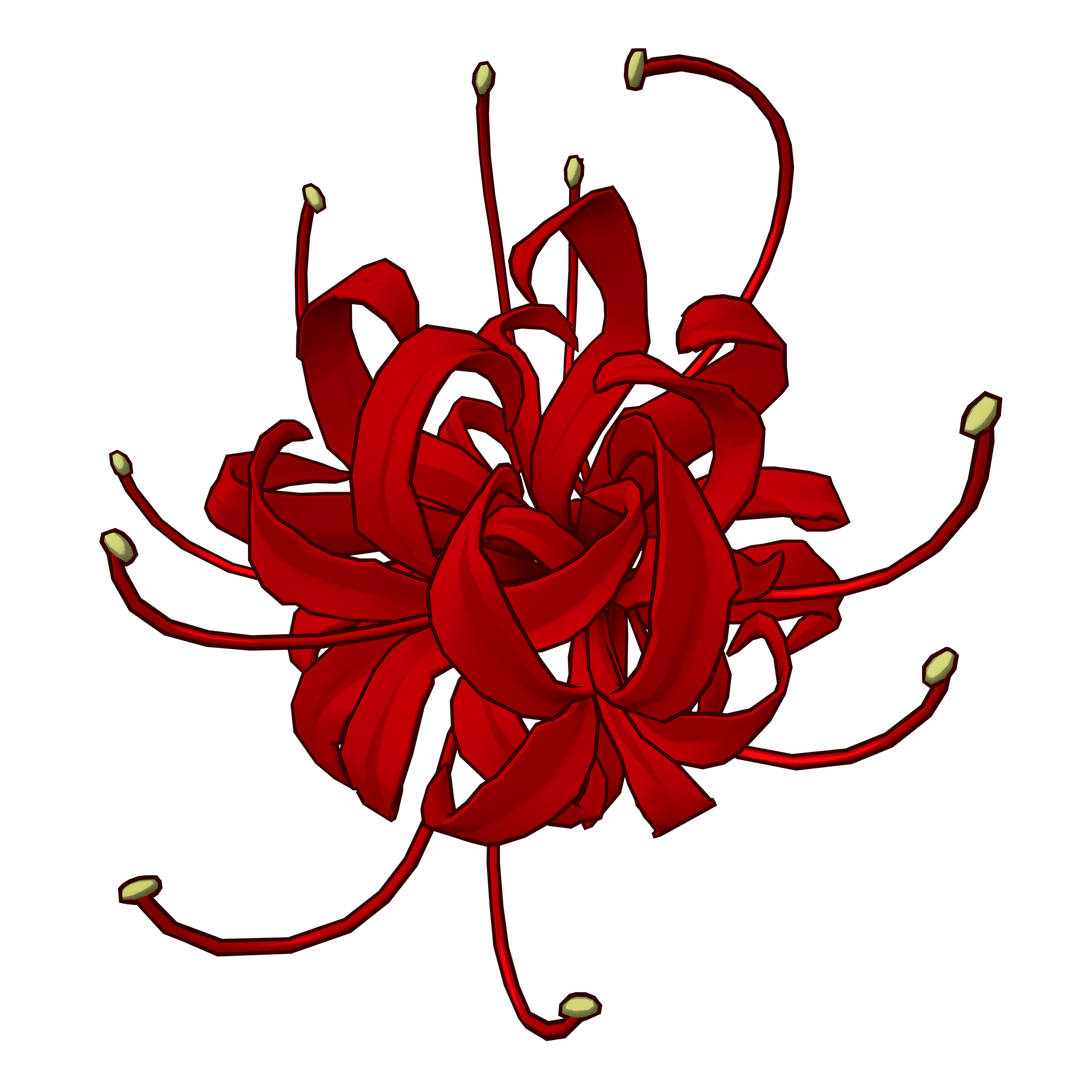 Красная паучья лилия