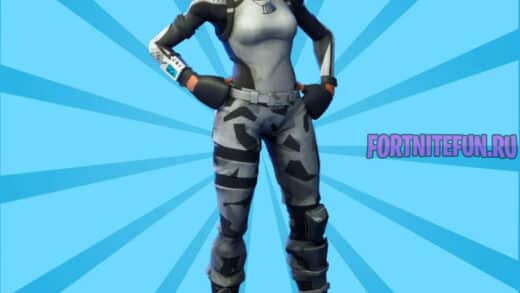 Arctic Assassin