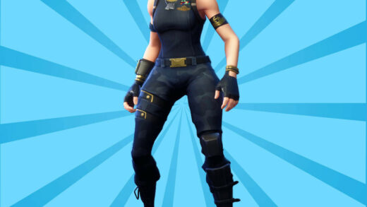 Brawler