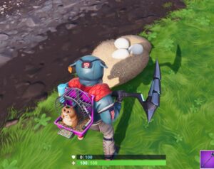 гусиные яйца