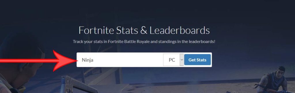 Фортнайт статс