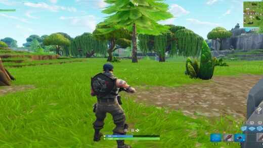 пример разрешения 520x293 - Epic Games запретят растянутое разрешение