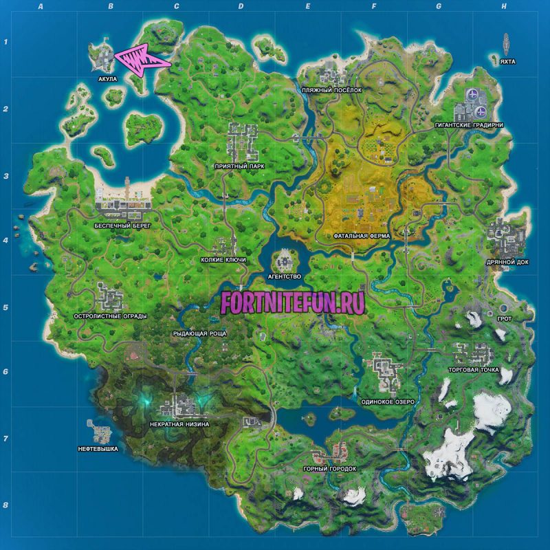 Вы приземлились на носу Акулы