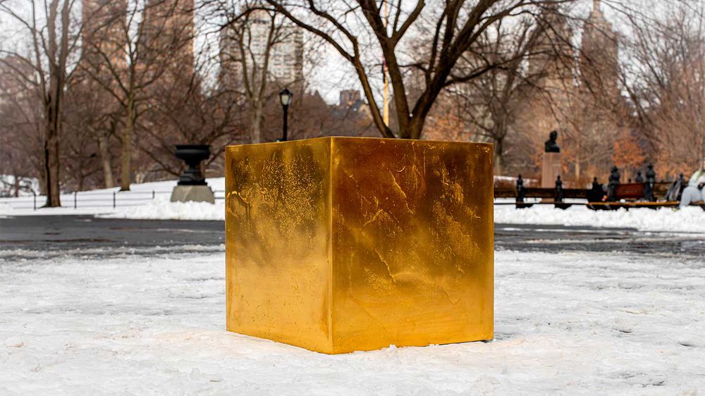 куб из фортнайт появился в Центральном парке Нью Йорка 4 - Золотой куб из фортнайт появился в Центральном парке Нью-Йорка